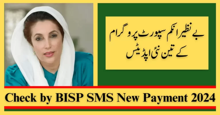 Check by BISP SMS New Payment - Current New Update 2025