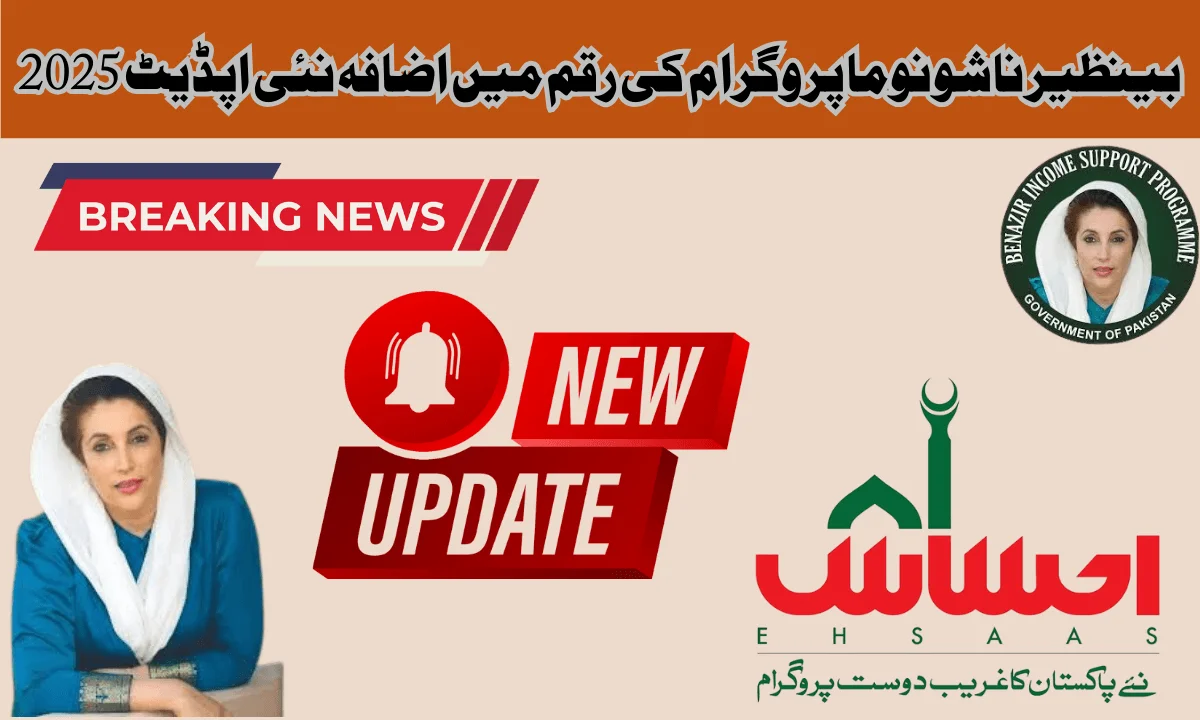 حکومت پاکستان نے حاملہ خواتین کی مدد کے لیے بے نظیر ناشونوما پروگرام اماؤنٹ بنایا ہے۔ ہمارے معاشرے میں مالی حالت خود نوزائیدہ بچوں اور ماؤں میں غذائی قلت کی سب سے عام وجہ ہے۔