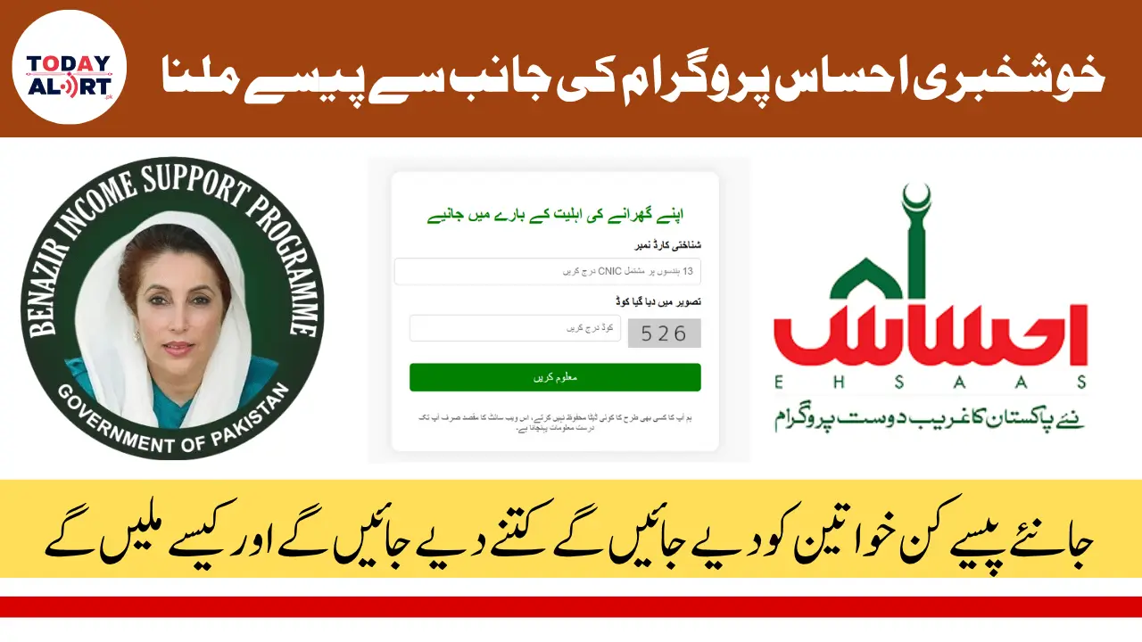 Ehsaas 8171 Program Online Apply Check by 8171 Web Portal
