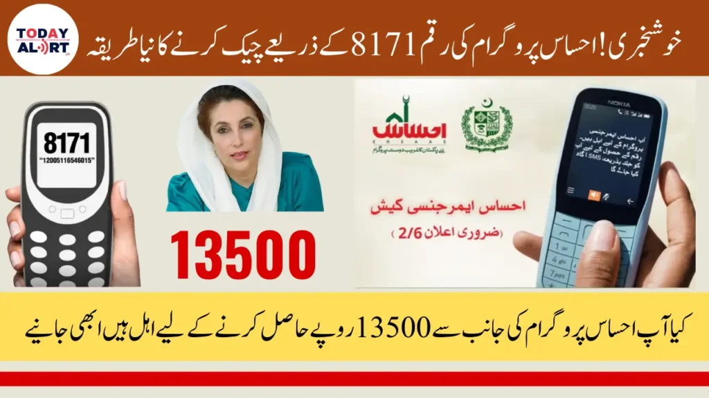 Ehsaas Online Portal 8171 Open for July 2025 Payment Status