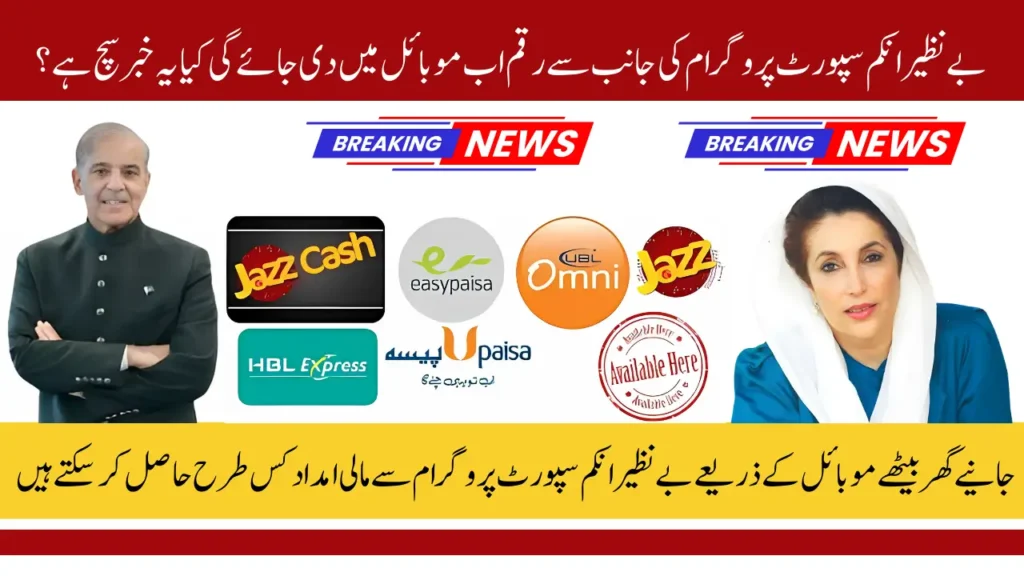 BISP Digital Wallet 2025 Registration Process and Required Documents