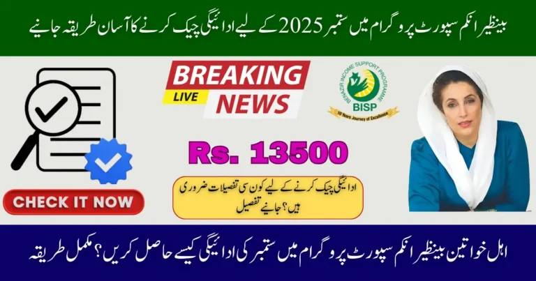 Check Your BISP 8171 September Payment Status Simple and Fast Online Method