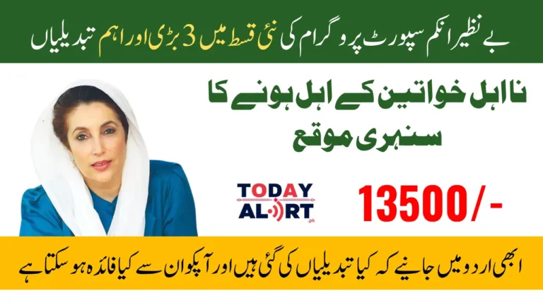 8171 BISP New Installment November 2025 3 Major Changes