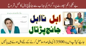 8171 Portal Eligibility Recheck 13500 Payment November 2025