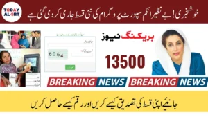 BISP 8171 Payment November 2025 Released – Verify Now and Receive 13500