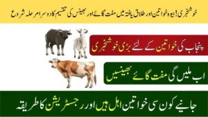 Punjab Livestock Distribution Scheme Phase 2 Started – Free Cows and Buffaloes For Widows